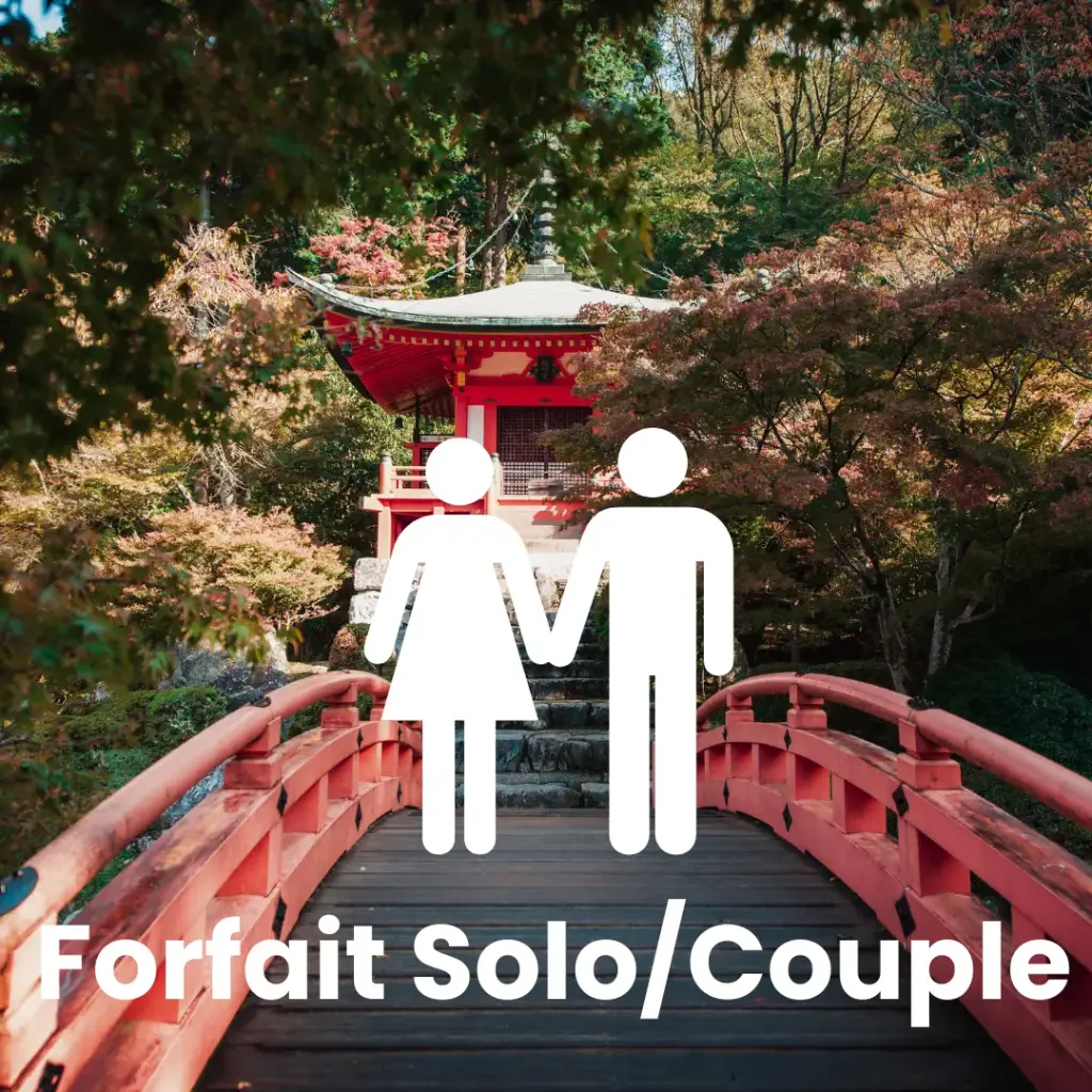 Jour de Travel Planning Japon -Formule Solo/Duo ( Ajoutez le nombre de jour )