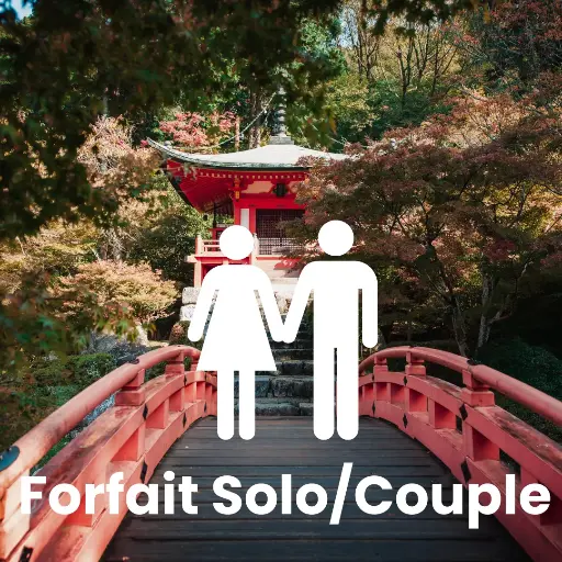 Jour de Travel Planning Japon -Formule Solo/Duo ( Ajoutez le nombre de jour )